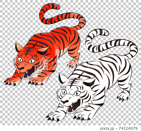 白いトラと赤いトラ 白いトラと赤いトラ 74224079