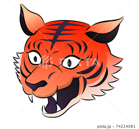 赤いトラの頭 74224081