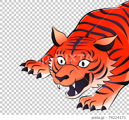 Red tiger upper body Red tiger upper body 74224171
