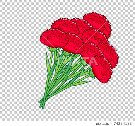 Carnation bouquets Carnation bouquets 74224188