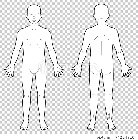 人体図 シェーマ図 白黒イラストのイラスト素材