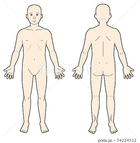 正面と背面の人体図 74224512