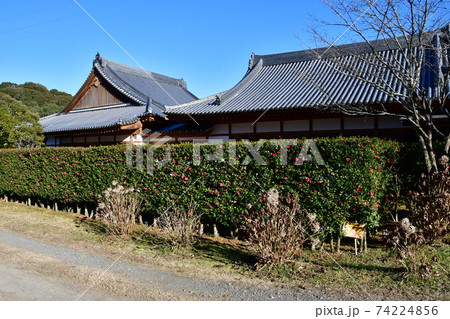佐土原城39 佐土原城39 74224856