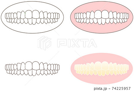 正しい歯並びで口を閉じた正面セットのイラスト素材
