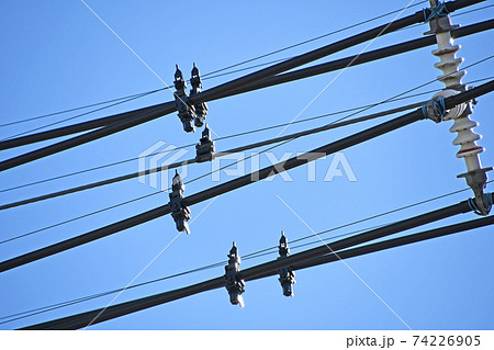 電線に取り付けられた鳥よけの写真素材