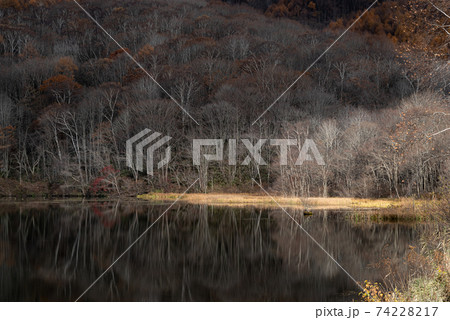 光が差し込み美しい晩秋の戸隠　鏡池 74228217