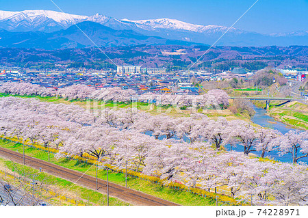 東北の桜の名所 一目千本桜 宮城県 の写真素材