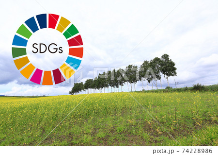 SDGsシンボルマーク SDGsシンボルマーク 74228986