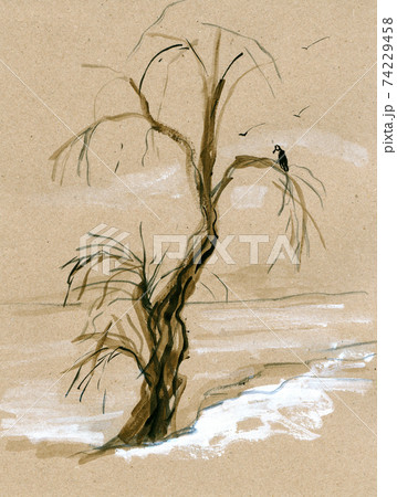 Tree on the bank Tree on the bank 74229458
