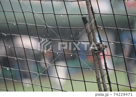 雨降りのバックネット 74229471