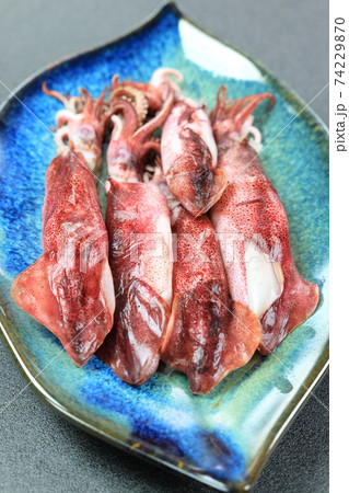 美味しい釜茹でヤリイカ 74229870