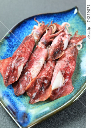 美味しい釜茹でヤリイカ 美味しい釜茹でヤリイカ 74229871