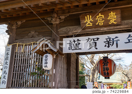 仙台総鎮守　愛宕神社　初詣 74229884