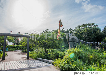 弥生の風景 吉野ヶ里 弥生の風景 吉野ヶ里 74230985