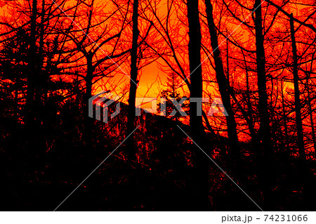 上高地　長野県　松本市　穂高岳　景勝地　山　川　高原　梓川　日本アルプス　山岳　中部山岳国立公園　春 74231066