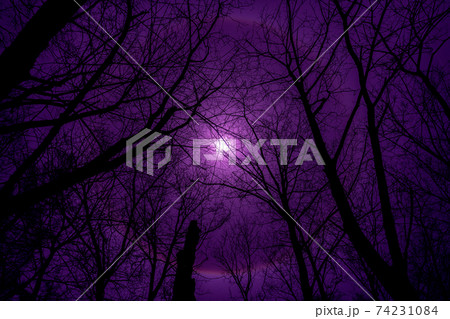 上高地 長野県 松本市 穂高岳 景勝地 山 川 高原 梓川 日本アルプス 山岳 中部山岳国立公園 春 上高地 長野県 松本市 穂高岳 景勝地 山 川 高原 梓川 日本アルプス 山岳 中部山岳国立公園 春 74231084