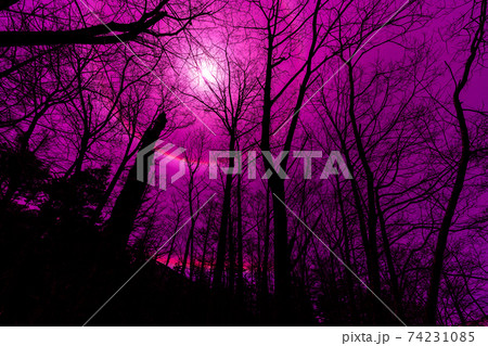 上高地　長野県　松本市　穂高岳　景勝地　山　川　高原　梓川　日本アルプス　山岳　中部山岳国立公園　春 74231085