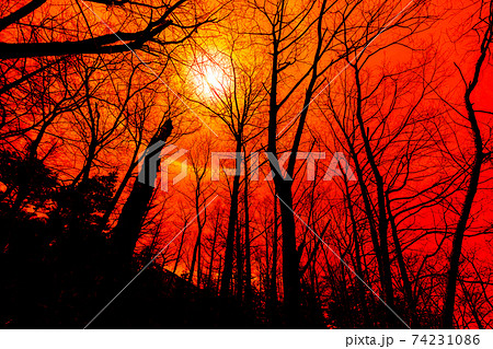 上高地　長野県　松本市　穂高岳　景勝地　山　川　高原　梓川　日本アルプス　山岳　中部山岳国立公園　春 74231086