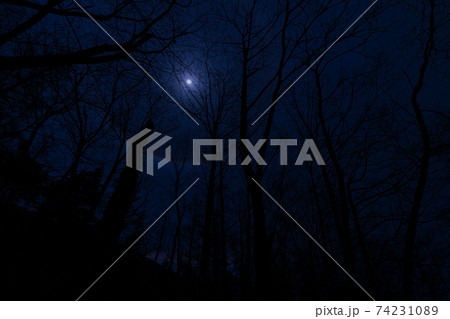 上高地 長野県 松本市 穂高岳 景勝地 山 川 高原 梓川 日本アルプス 山岳 中部山岳国立公園 春 上高地 長野県 松本市 穂高岳 景勝地 山 川 高原 梓川 日本アルプス 山岳 中部山岳国立公園 春 74231089