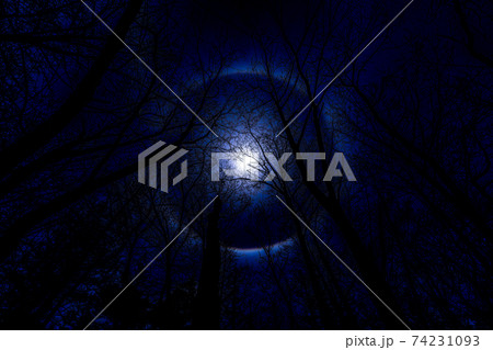 上高地　長野県　松本市　穂高岳　景勝地　山　川　高原　梓川　日本アルプス　山岳　中部山岳国立公園　春 74231093