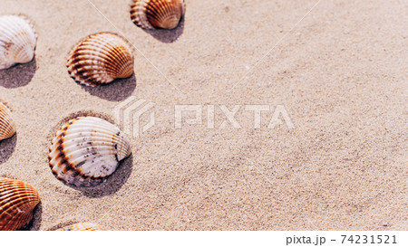 Hello summer with seashells, starfishes on sand ocean beach background. Exotic beach with copy space. Hello summer with seashells, starfishes on sand ocean beach background. Exotic beach with copy space. 74231521