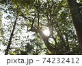 木漏れ日 74232412