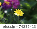 パタゴニア 74232413