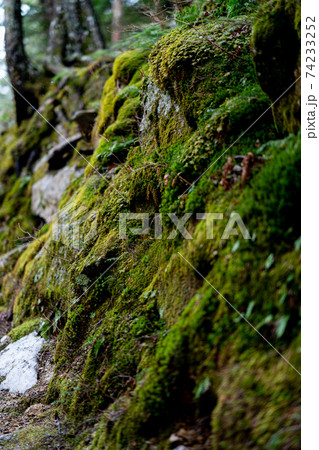 上高地　長野県　松本市　穂高岳　景勝地　山　川　高原　梓川　日本アルプス　山岳　中部山岳国立公園　春 74233252
