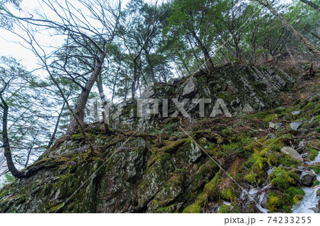 上高地　長野県　松本市　穂高岳　景勝地　山　川　高原　梓川　日本アルプス　山岳　中部山岳国立公園　春 74233255