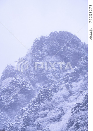 上高地　長野県　松本市　穂高岳　景勝地　山　川　高原　梓川　日本アルプス　山岳　中部山岳国立公園　春 74233273