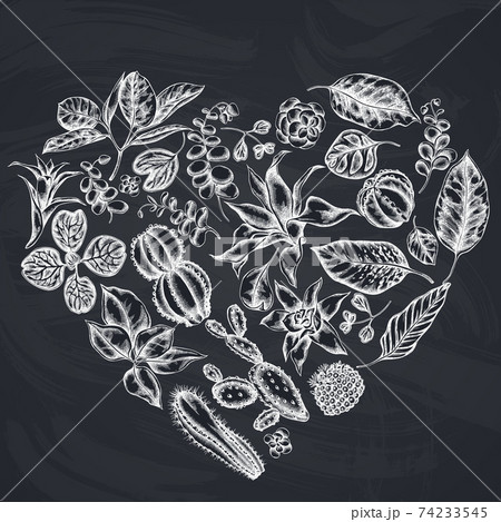 Heart floral design with chalk ficus, iresine, kalanchoe, calathea, guzmania, cactus Heart floral design with chalk ficus, iresine, kalanchoe, calathea, guzmania, cactus 74233545