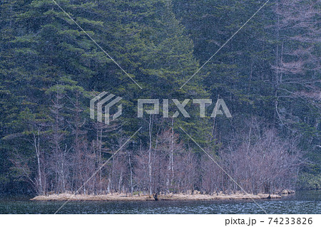 上高地　長野県　松本市　穂高岳　景勝地　山　川　高原　梓川　日本アルプス　山岳　中部山岳国立公園　春 74233826
