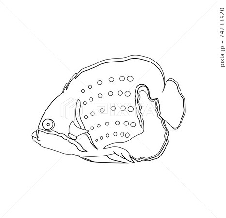 sea fish in linear drawing. Children drawing for coloring. Vector on white sea fish in linear drawing. Children drawing for coloring. Vector on white 74233920