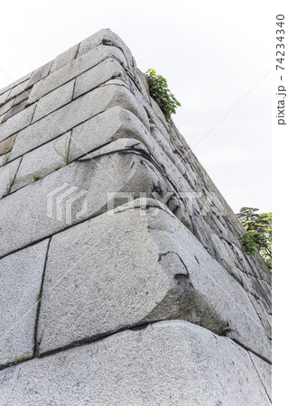 天守閣跡 江戸城天守跡 本丸 御殿 石積 石垣 天守台 天守閣跡 江戸城天守跡 本丸 御殿 石積 石垣 天守台 74234340