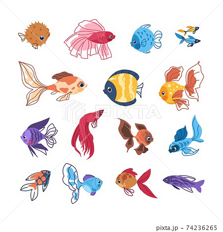 Cartoon fish. Colorful sea animals. Hand drawn... - Stock Illustration  [74236265] - PIXTA