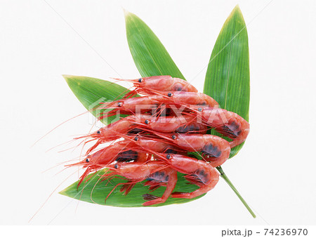 Shrimp isolated over white background 74236970
