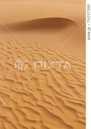 Waves of Sand Texture, Dunes of the Desert. Waves of Sand Texture, Dunes of the Desert. 74237300