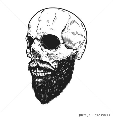 Bearded skull in engraving style on white background. Design element for logo, label, sign, poster, banner, t shirt. Vector illustration Bearded skull in engraving style on white background. Design element for logo, label, sign, poster, banner, t shirt. Vector illustration 74239043