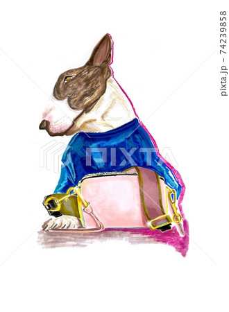 Hand-drawn stylized colorful and bright illustration of a pit bull terrier puppy in a fashion outfit: in a blue t-shirt with a crossbody bag on a white background. Postcard for dog lovers 74239858