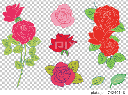 薔薇の花 手描きイラストバリエーションセットのイラスト素材