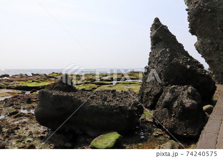 静岡 下田 恵比須島 静岡 下田 恵比須島 74240575