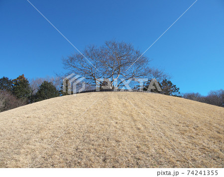 天平の丘公園　平成の丘 74241355