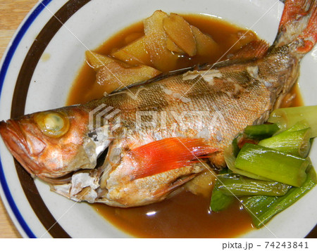メバルの煮付け メバルの煮付け 74243841
