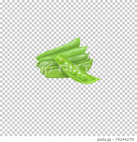 彩色的鉛筆風格豆豌豆圖 74244279