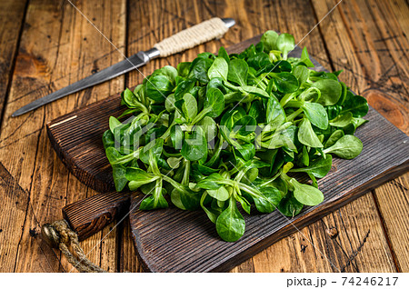 Fresh Raw green lambs lettuce Corn salad leaves on a wooden cutting board. wooden background. Top view Fresh Raw green lambs lettuce Corn salad leaves on a wooden cutting board. wooden background. Top view 74246217
