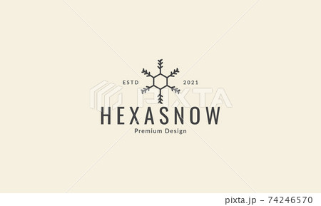 snowflake line with hexagon logo vector icon symbol graphic design illustration snowflake line with hexagon logo vector icon symbol graphic design illustration 74246570