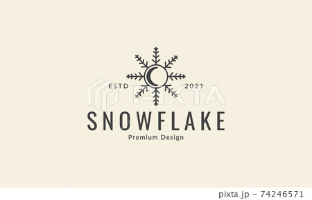snowflake line with moon logo vector icon symbol graphic design illustration 74246571