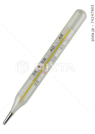 Mercury thermometer in a glass case isolated on a white background. Mercury thermometer in a glass case isolated on a white background. 74247905