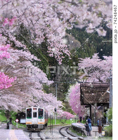 電車と桜 74248467