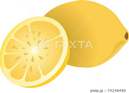 Yellow lemon. Vector illustration isolated on white background. 74248490